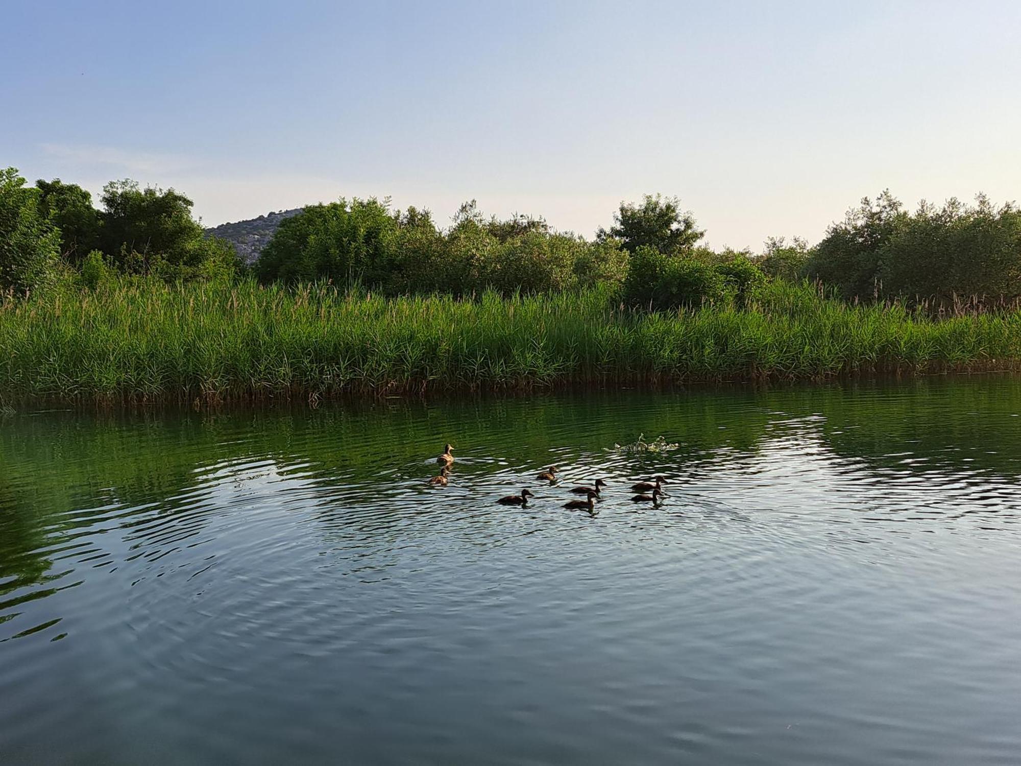 Apartmani Mostina Near River Ploce  Buitenkant foto